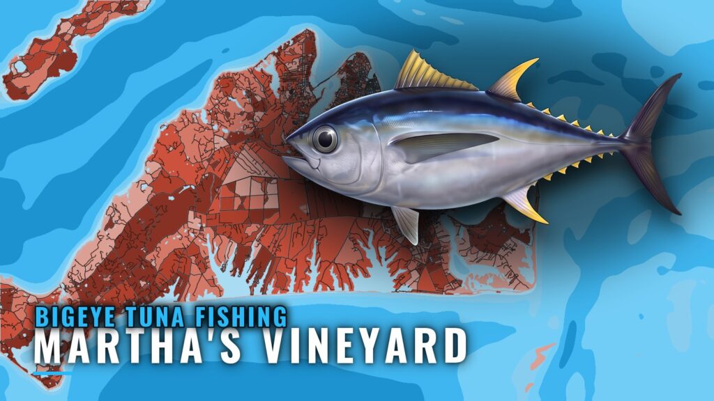 Bigeye Tuna Fishing Out of Martha’s Vineyard: Canyon Runs