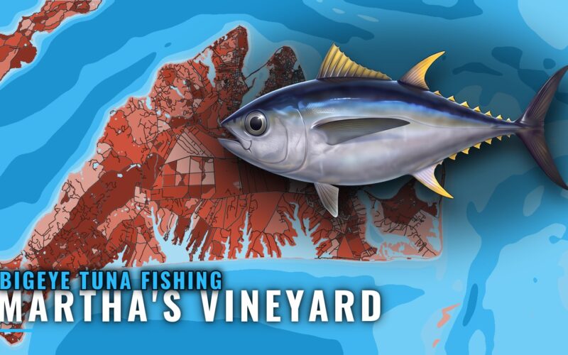 Bigeye Tuna Fishing Out of Martha’s Vineyard: Canyon Runs