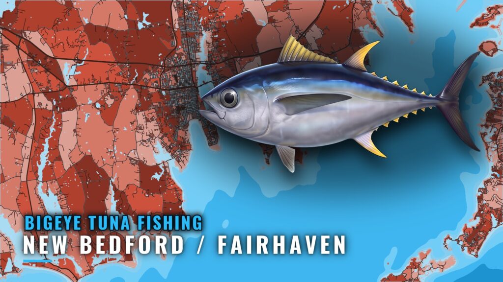 Bigeye Tuna Fishing out of New Bedford / Fairhaven, MA