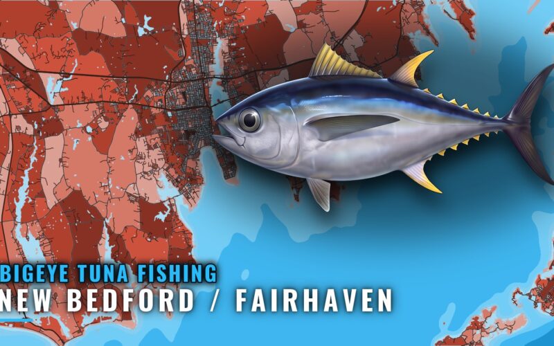 Bigeye Tuna Fishing out of New Bedford / Fairhaven, MA