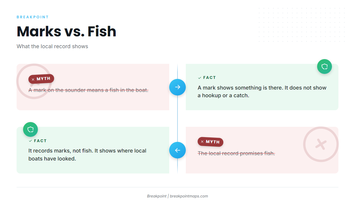 How bigeye are fished from this port