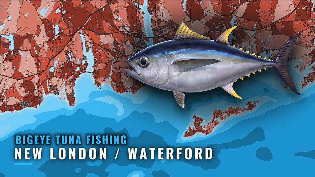 Bigeye Tuna Fishing Out of New London / Waterford, CT