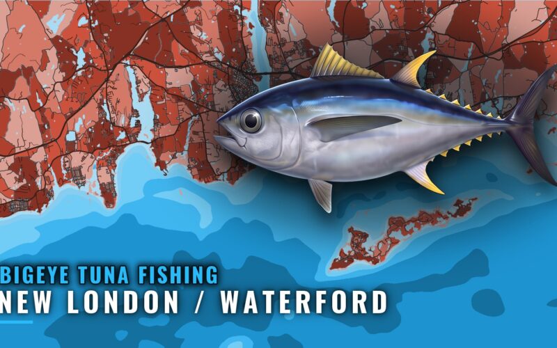 Bigeye Tuna Fishing Out of New London / Waterford, CT