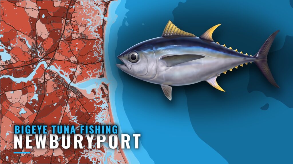 Bigeye Tuna Fishing Out of Newburyport: Canyons and Grounds