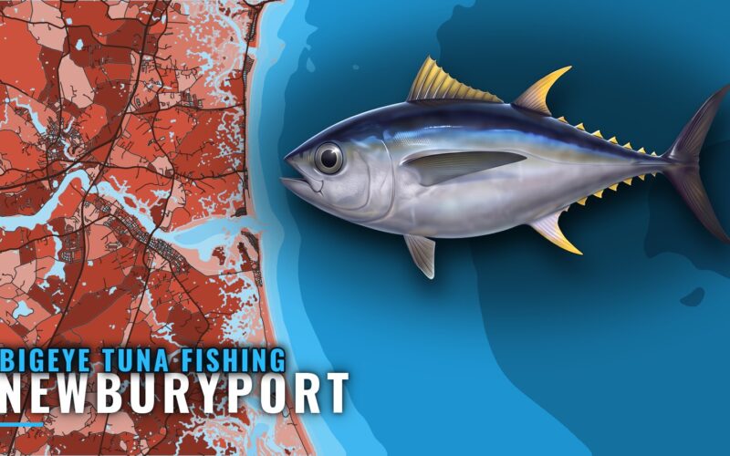 Bigeye Tuna Fishing Out of Newburyport: Canyons and Grounds