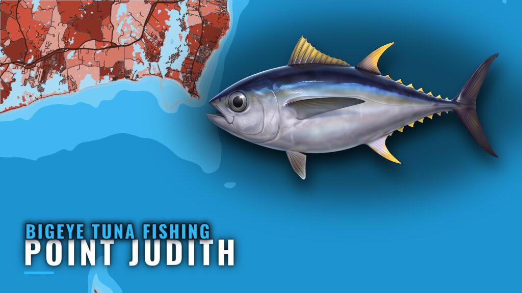 Bigeye Tuna Fishing Out of Point Judith: Canyon Trips