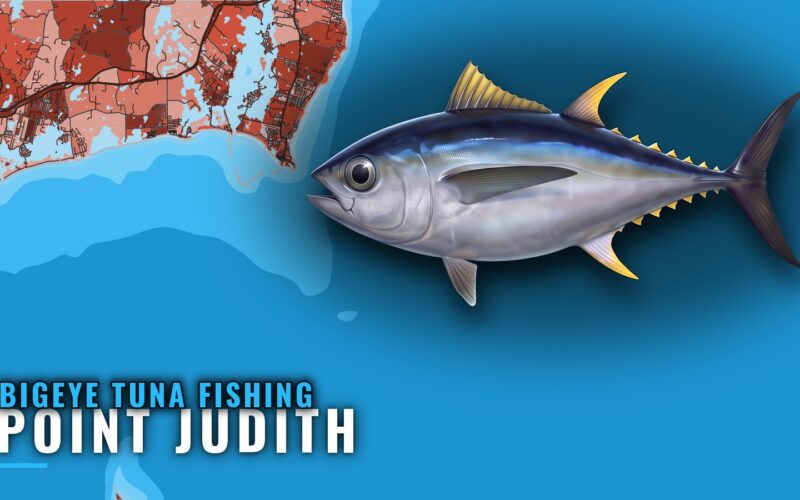 Bigeye Tuna Fishing Out of Point Judith: Canyon Trips