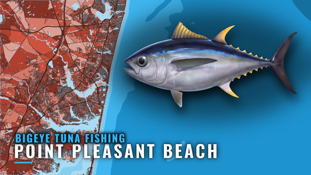 Bigeye Tuna Fishing Out of Point Pleasant Beach, NJ