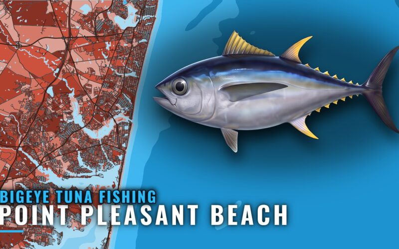 Bigeye Tuna Fishing Out of Point Pleasant Beach, NJ