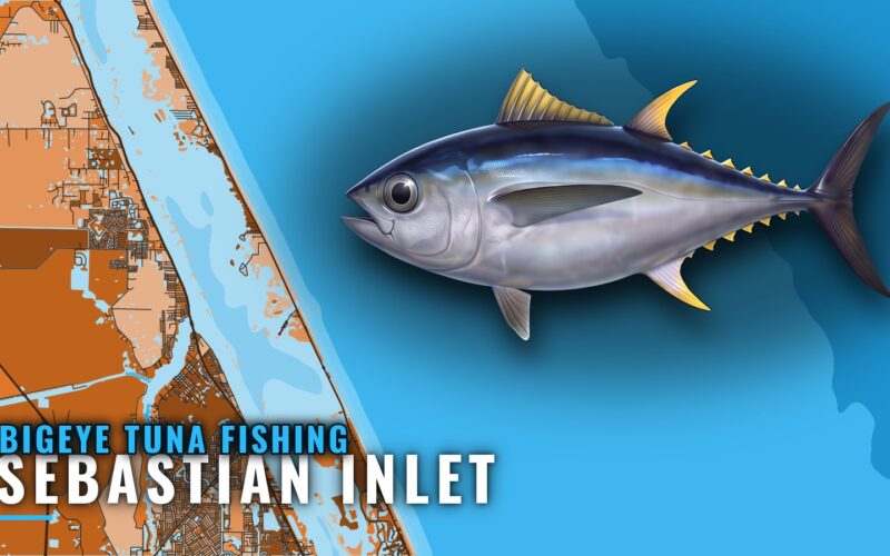 Bigeye Tuna Fishing Out of Sebastian Inlet, by the Numbers