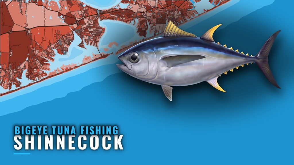Bigeye Tuna Fishing out of Shinnecock: Canyon Runs