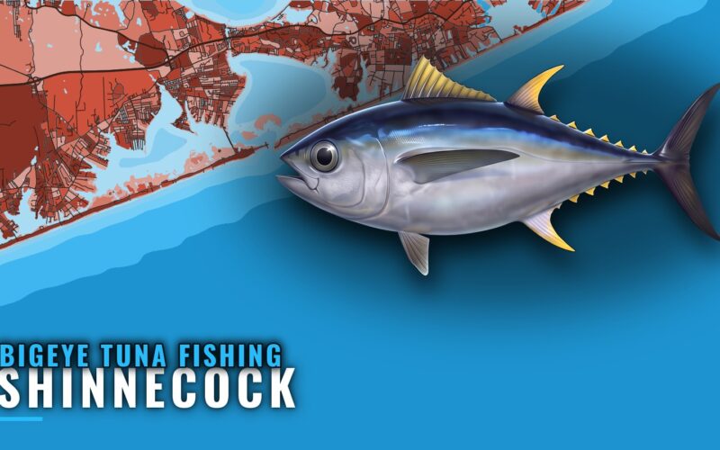 Bigeye Tuna Fishing out of Shinnecock: Canyon Runs