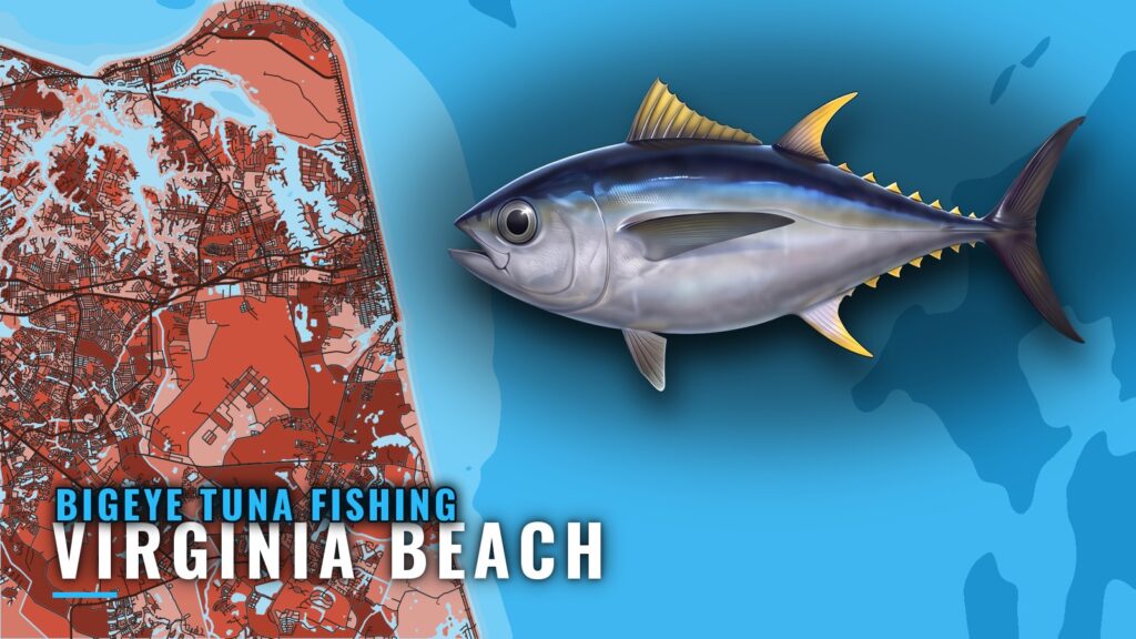 Bigeye Tuna Fishing Out of Virginia Beach: Run and Grounds