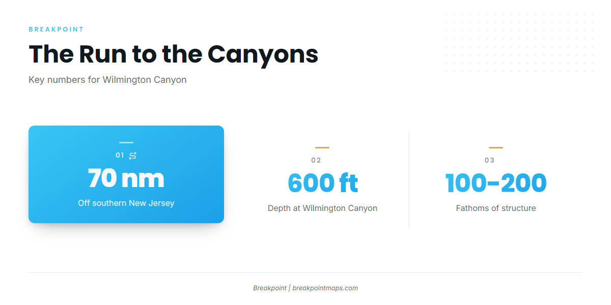The run to the canyons