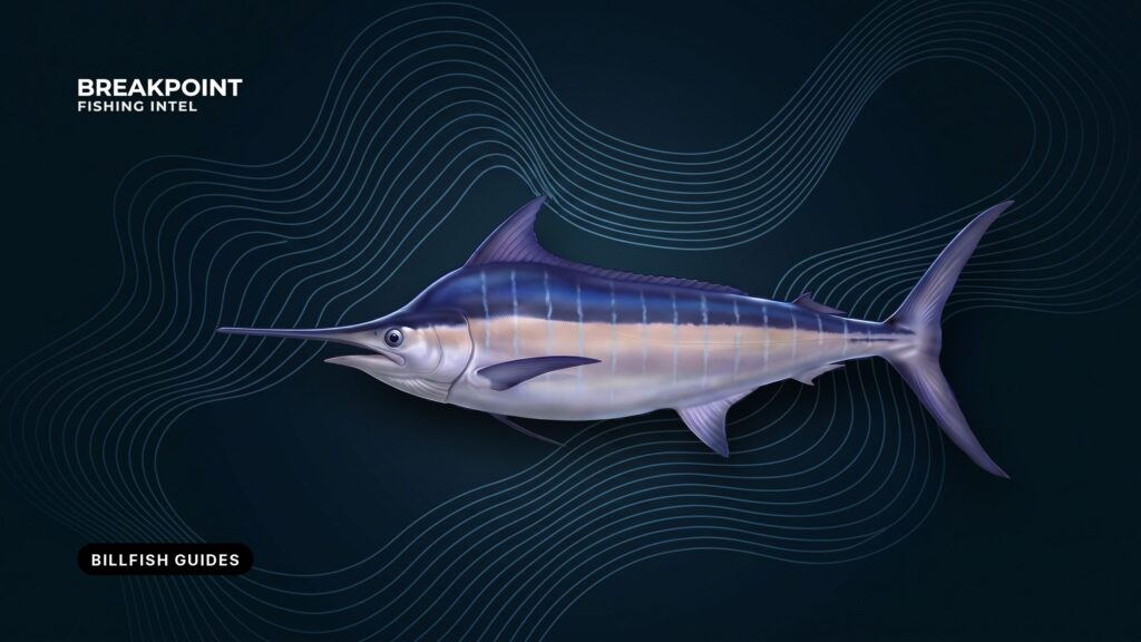 Billfish and Swordfish Fishing Guides: Compare and Identify