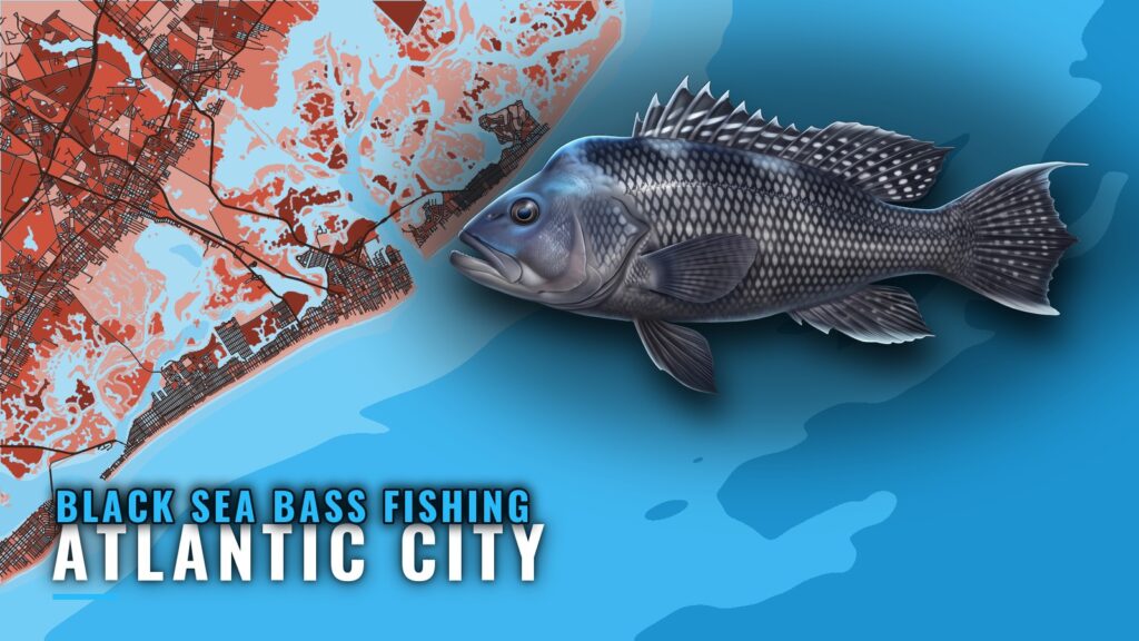 Black sea bass fishing out of Atlantic City: wrecks and GPS