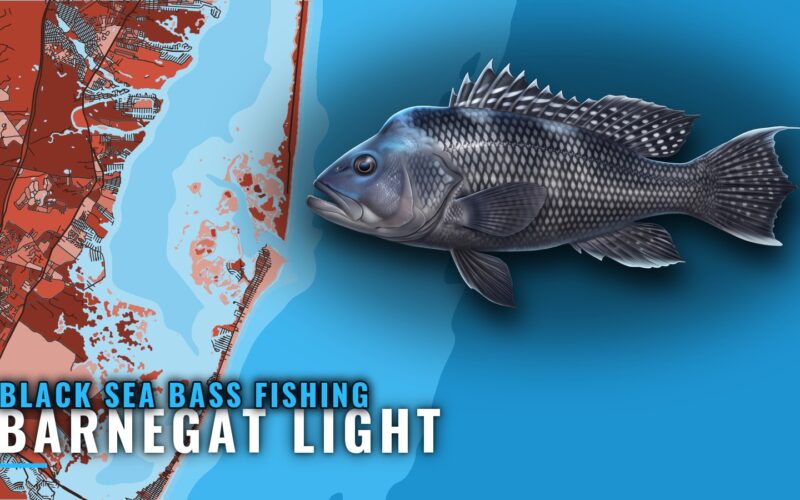 Black sea bass fishing out of Barnegat Light, by the numbers