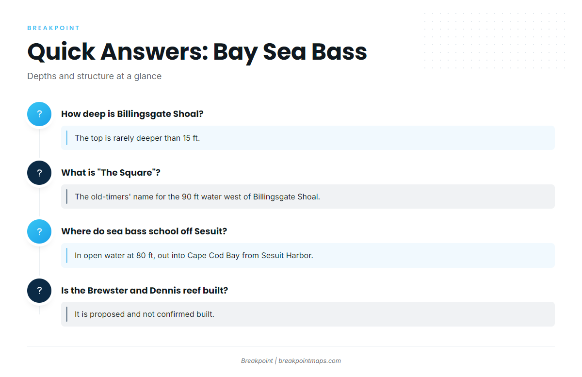 FAQ about black sea bass out of Barnstable and Cape Cod Bay
