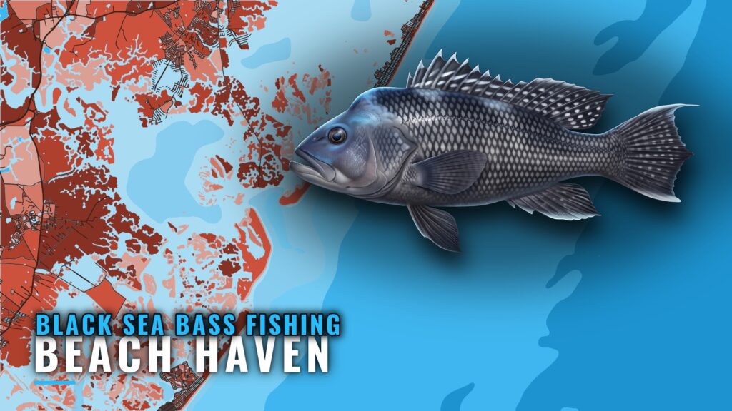 Black sea bass fishing out of Beach Haven: reefs and wrecks