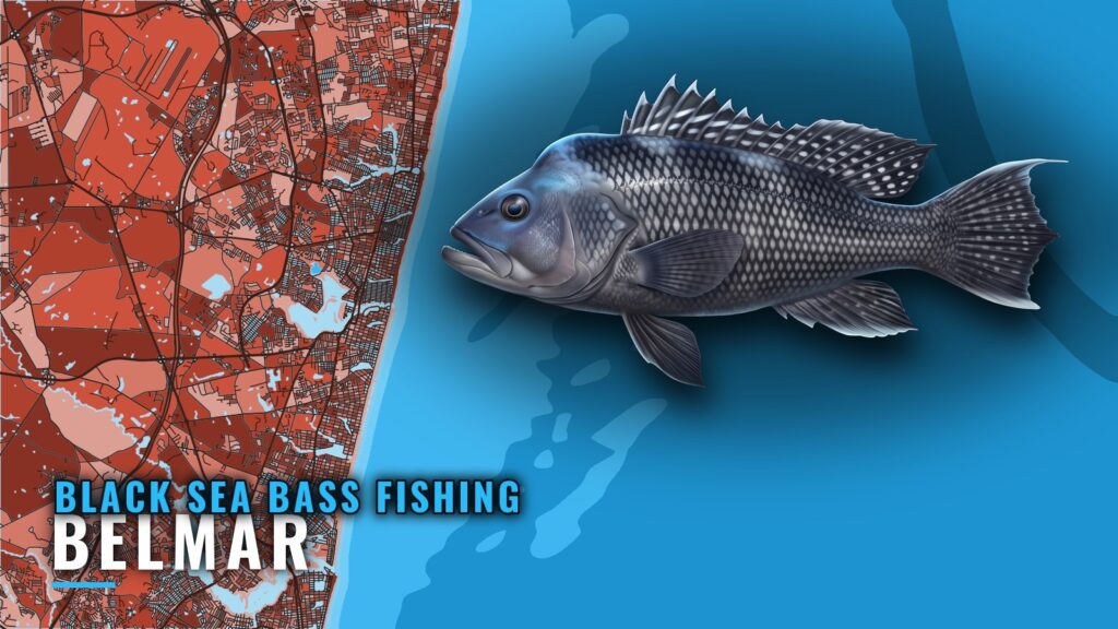 Black Sea Bass Fishing Out of Belmar: Reefs, Wrecks, Depths