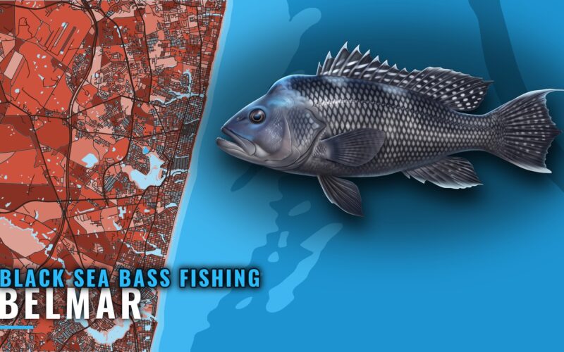 Black Sea Bass Fishing Out of Belmar: Reefs, Wrecks, Depths