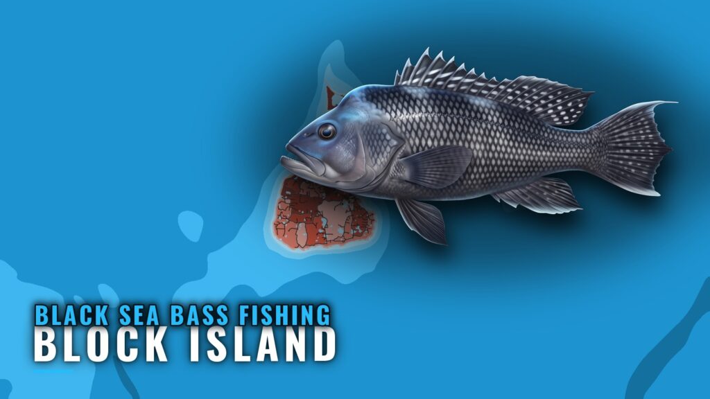 Black Sea Bass Fishing Out of Block Island: Spots and Rigs