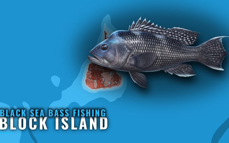 Black Sea Bass Fishing Out of Block Island: Spots and Rigs