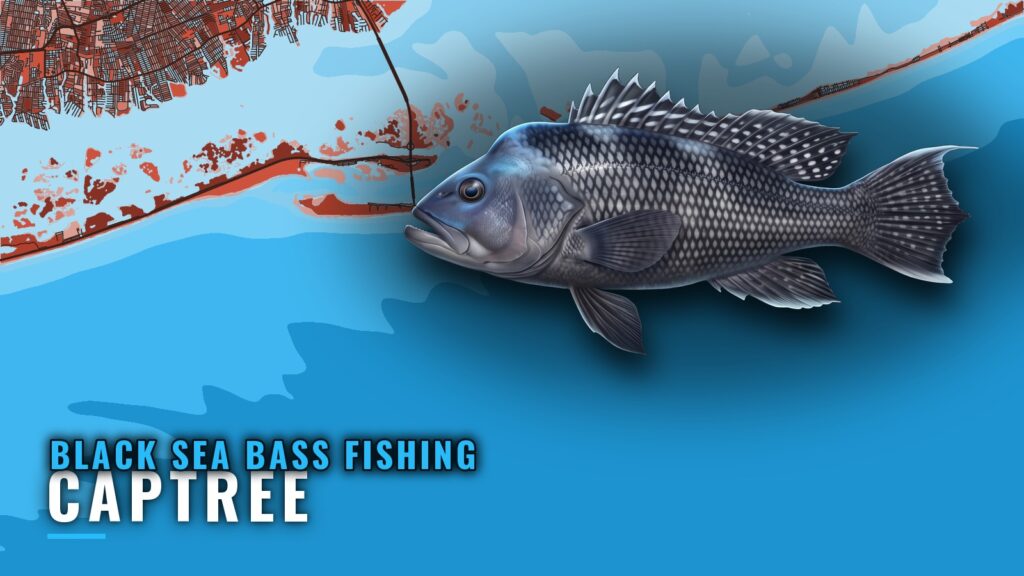 Black sea bass fishing out of Captree: reefs and depths