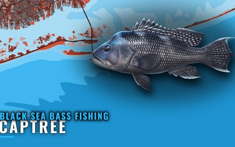 Black sea bass fishing out of Captree: reefs and depths