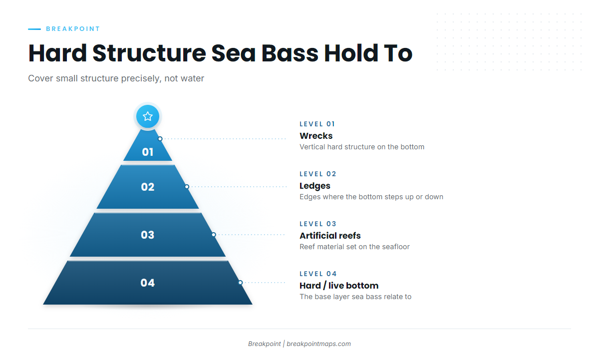 What holds sea bass