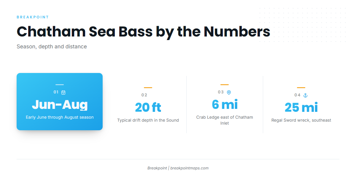 When black sea bass are around Chatham