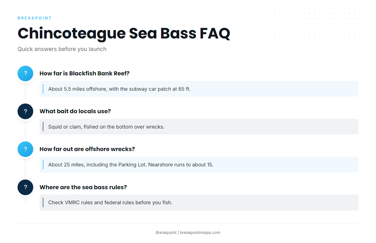FAQ: black sea bass fishing out of Chincoteague