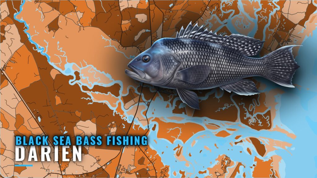 Black Sea Bass Fishing Out of Darien: Reefs, Depths, Runs