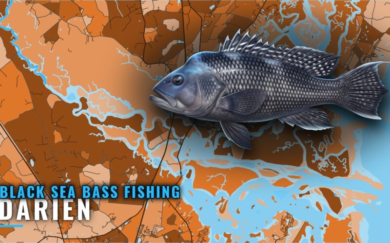 Black Sea Bass Fishing Out of Darien: Reefs, Depths, Runs