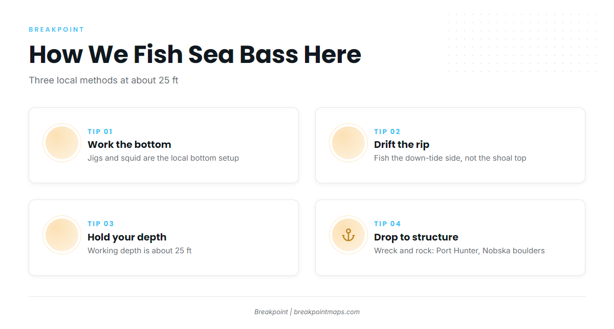 How sea bass are fished locally