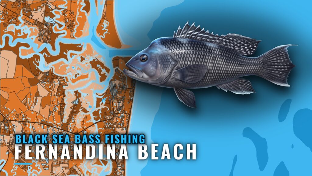 Black Sea Bass Fishing Out of Fernandina Beach: Reefs