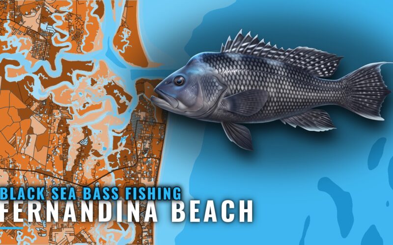 Black Sea Bass Fishing Out of Fernandina Beach: Reefs