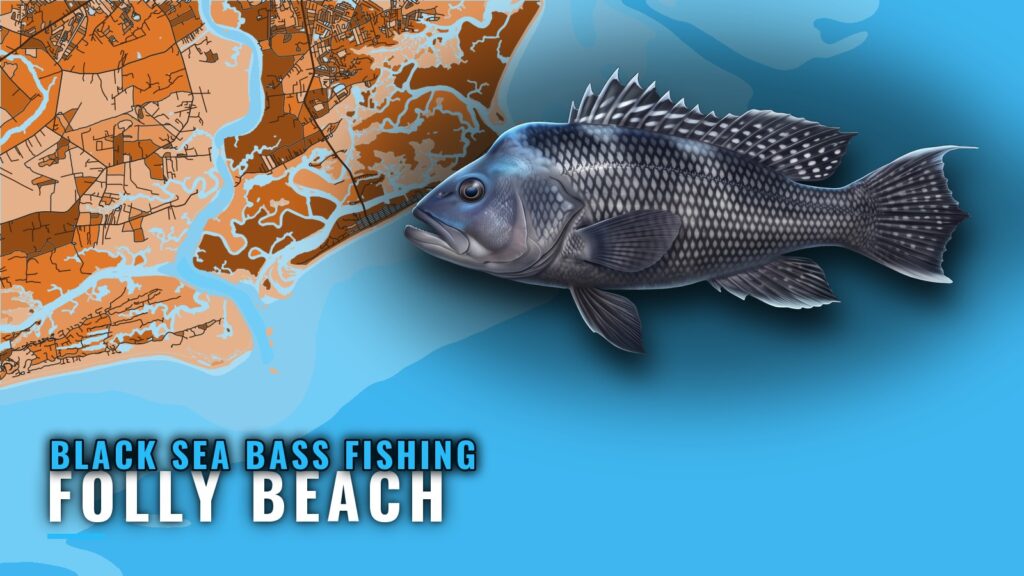 Black Sea Bass Fishing out of Folly Beach: Reefs and Runs