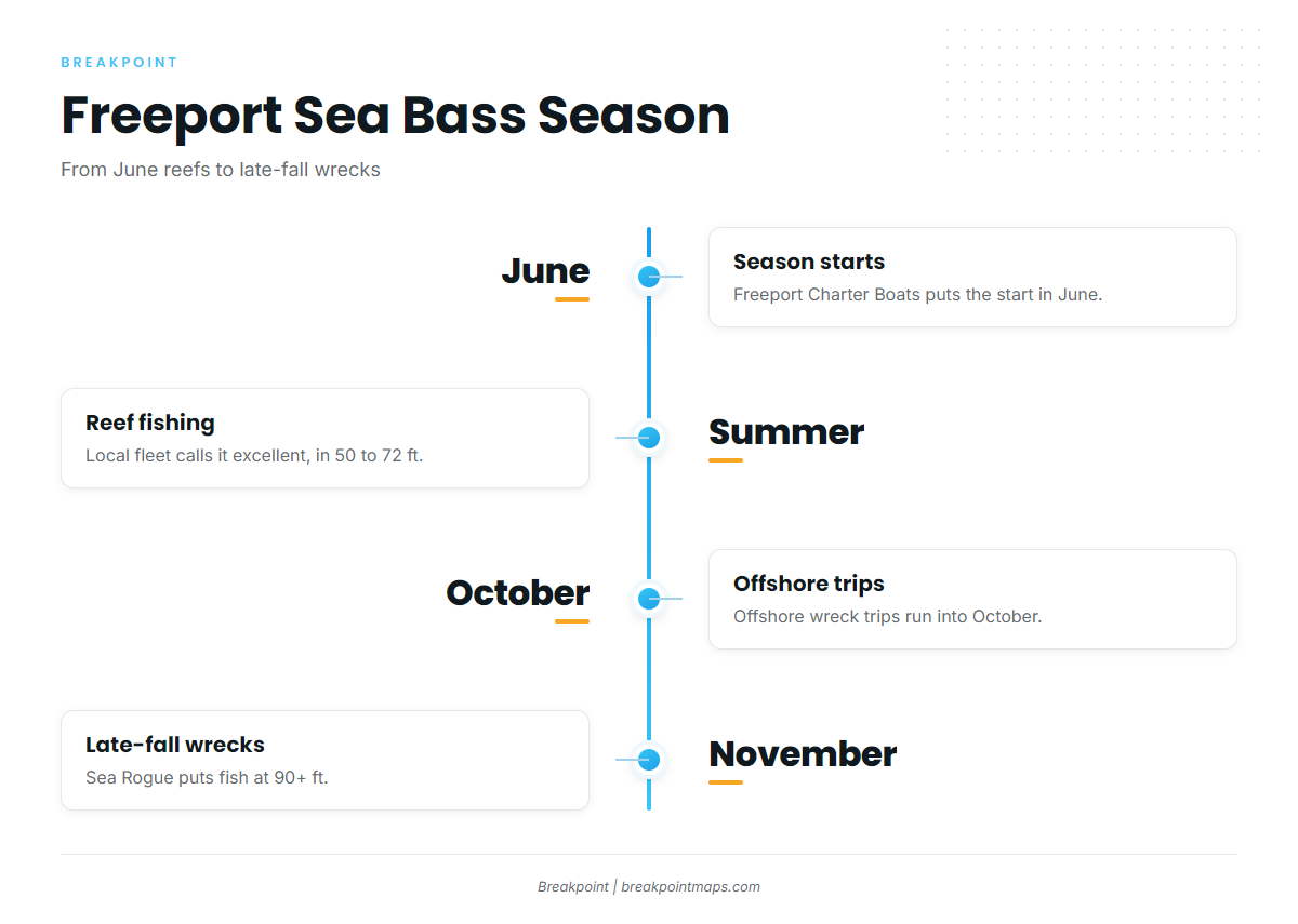 When black sea bass are around Freeport