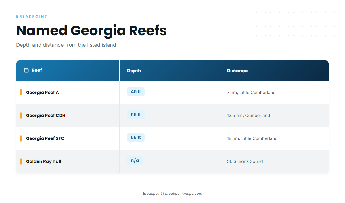 Reefs and Structure That Hold Sea Bass