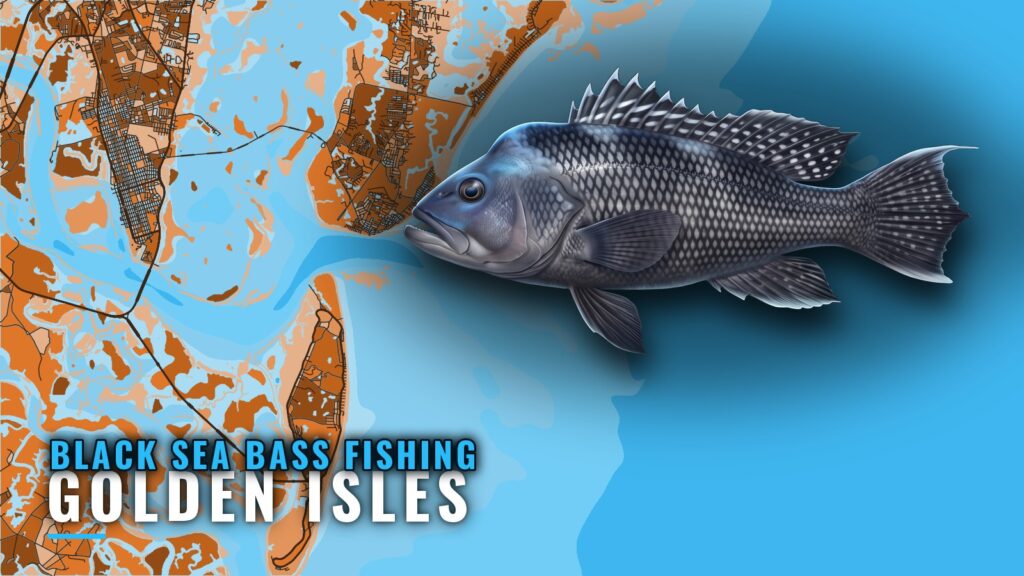 Black Sea Bass Fishing Out of Golden Isles: Reefs and Runs