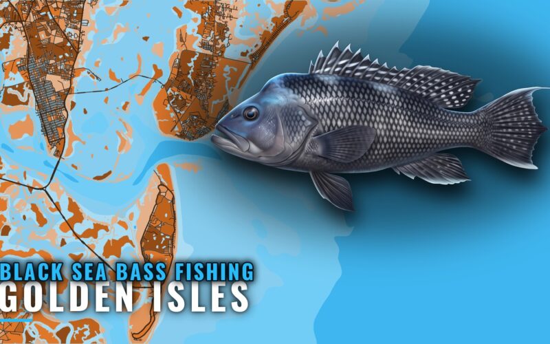 Black Sea Bass Fishing Out of Golden Isles: Reefs and Runs