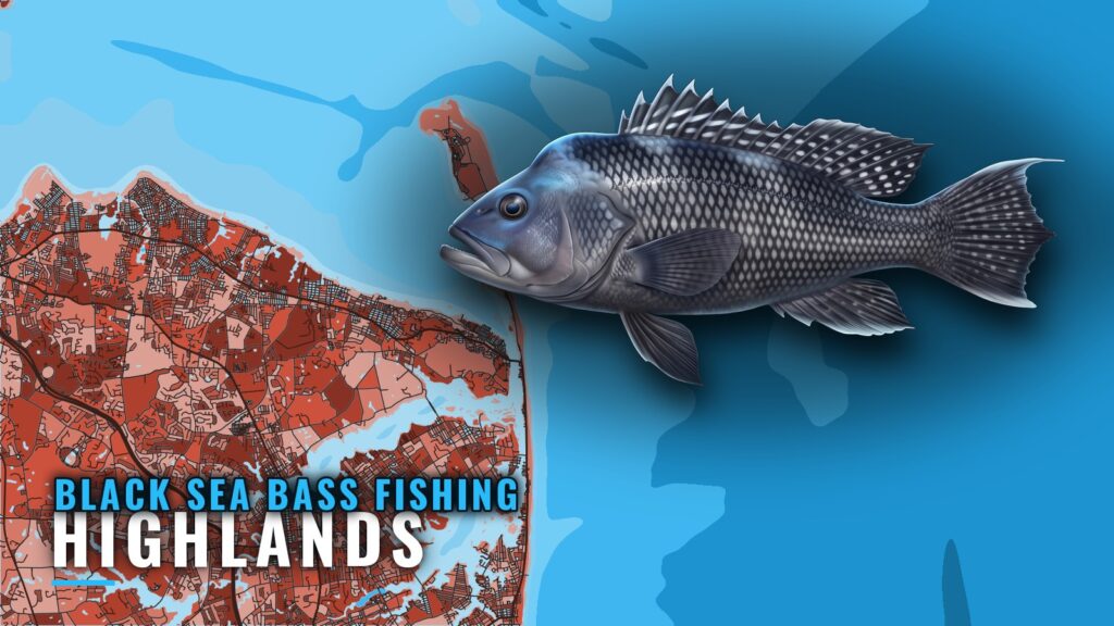 Black Sea Bass Fishing Out of Highlands, NJ: Where and When