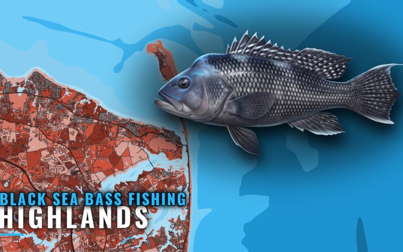 Black Sea Bass Fishing Out of Highlands, NJ: Where and When