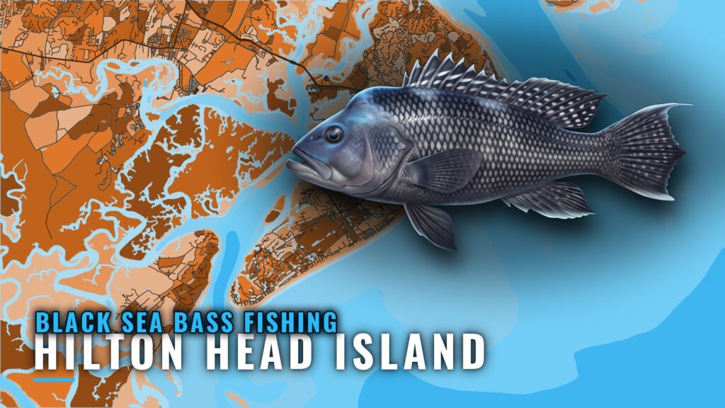 Black Sea Bass Fishing Out of Hilton Head Island