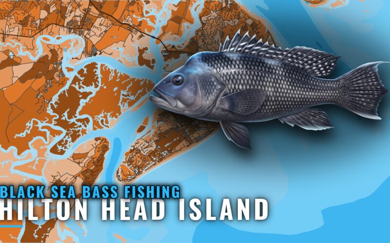 Black Sea Bass Fishing Out of Hilton Head Island