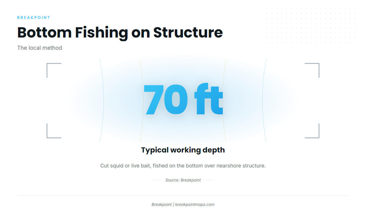 How Black Sea Bass Are Fished Here