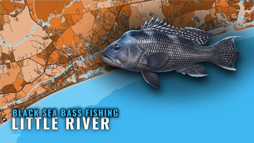 Black Sea Bass Fishing Out of Little River: Reefs and Runs