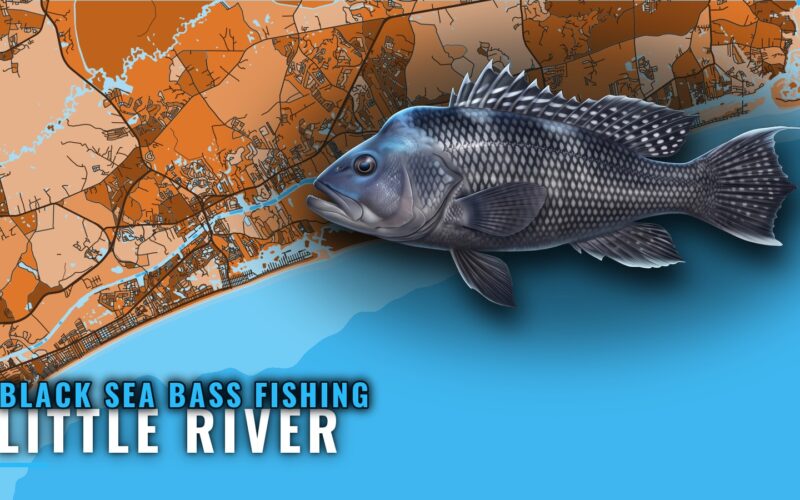 Black Sea Bass Fishing Out of Little River: Reefs and Runs
