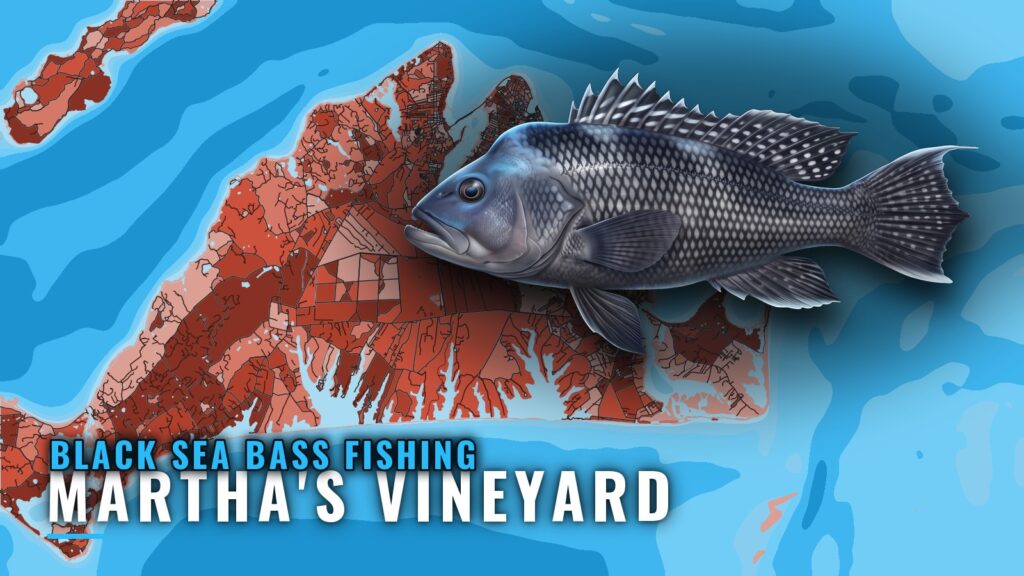 Black Sea Bass Fishing out of Martha’s Vineyard: Grounds